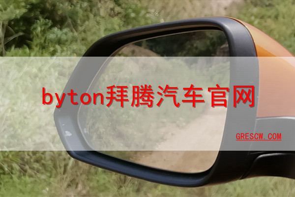 byton拜腾汽车网站