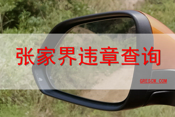 张家界违章查询